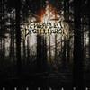 Engraved Disillusion - Desolate