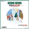 Hoshino Michiru - 素敵に Xmas Night