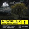 lataa albumi Mindflux - Everlasting Grief