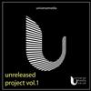 lataa albumi Various - Unreleased Project Vol1