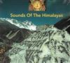 last ned album Unknown Artist - Sounds Of The Himalayas
