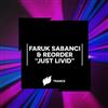 last ned album Faruk Sabanci & ReOrder - Just Livid