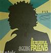 last ned album A Beautiful Friend - Ageing
