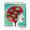 escuchar en línea Steven Bernstein, Paolo Fresu, Gianluca Petrella, Marcus Rojas - Brass Bang