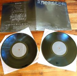 Download Angantyr - Endeløs Nordens Stolte Krigere