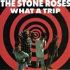 ladda ner album The Stone Roses - What A Trip