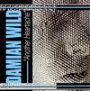 télécharger l'album Damian Wild - Another Heartache