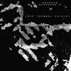 Brandon Seabrook - Die Trommel Fatale