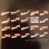 last ned album Larry Dodge - Undivided Landscape