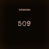 online luisteren Kirill Platonkin - 509