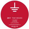télécharger l'album ZKY - Tiny Moves