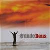 descargar álbum Vineyard Music Brasil - Grande Deus