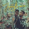 descargar álbum Jungle Brown - Flight 314