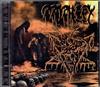 last ned album Prophecy - Global Decay