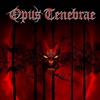 baixar álbum Opus Tenebrae - Opus Tenebrae