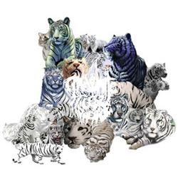Download White Tiger Prepade - Great End