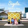 baixar álbum Sigala & Becky Hill - Wish You Well