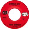 descargar álbum Toño Quirazco Y Su Conjunto - Gabriela Ska
