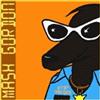 Mash Gordon - Steprecord