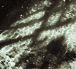 Download Savaran - Observations