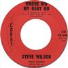lataa albumi Steve Wilson , Alan Storm And The Esquires - Where Did My Baby Go