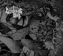 Download Dominus Ira - Negotium Parambulans In Tenebris