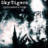 kuunnella verkossa SkyTigers - Disasterbation