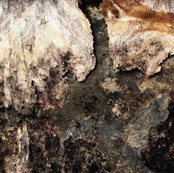 Download Devil's Dandruff - Rusty Bones