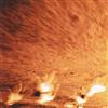 ladda ner album Iks - Le Journal De Sable