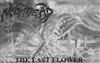 ouvir online Necrodead - The Last Flower