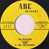 Album herunterladen Terri And The Velveteens - Im Waiting La Flor