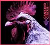 last ned album Gankino Circus - Die Letzten Ihrer Art