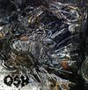 Album herunterladen Roskopp OSK - Roskopp OSK