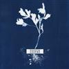 ladda ner album Feigur Lustre - Feigur Lustre