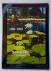 descargar álbum Bjerga Iversen - Throwing Giant Pebbles In A Tiny Pond