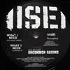 ladda ner album Iisei - What I Need Process Of Progress