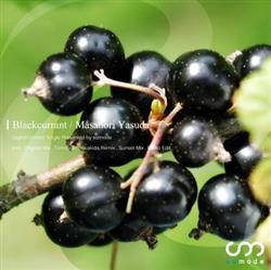 Download Masanori Yasuda - Blackcurrant