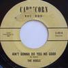 kuunnella verkossa The Videls - Aint Gonna Do You No Good