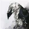last ned album Malk - WMAIDIT