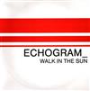 télécharger l'album Echogram - Walk In The Sun
