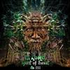 ouvir online Arkomo - Spirit Of The Forest