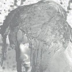 Download Oeoyvwxia - Cry Us Icicle Stilettos