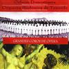 baixar álbum Orfeón Donostiarra, Orquesta Sinfónica de Tenerife, José Antonio Sainz, Víctor Pablo Pérez - Grandes Coros De Ópera