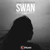 ladda ner album Vasily Dvortsov - Swan