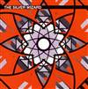 baixar álbum The Silver Wizard - Crawling To Light
