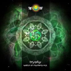 Download Try2Fly - Walls Of Mystery