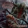 télécharger l'album Bloody Anatomies - Parasick
