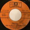kuunnella verkossa The Snowball Experience - Tal Vez Mi Angel Baby