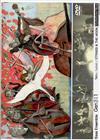 lataa albumi Tetsu Saitoh - Strings The Moon