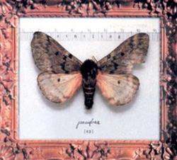 Download Nihiling - Pandora EP